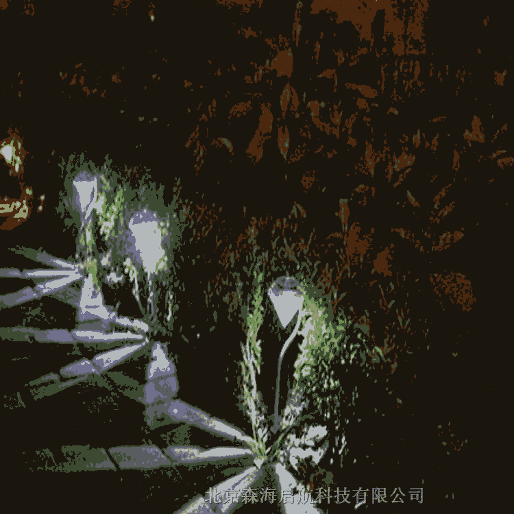 新農(nóng)村一體化路燈 質(zhì)量保證 接受定制 光色均勻